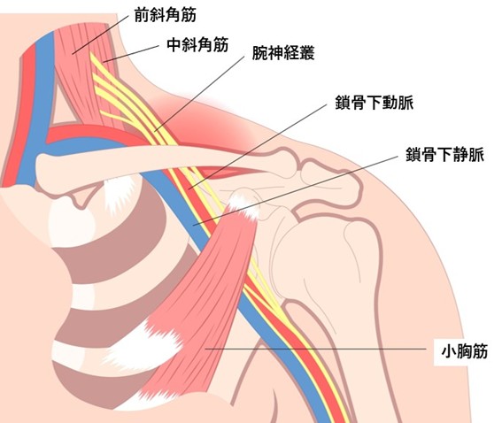 ボツリヌス治療外来 | 社会福祉法人あそか会 あそか病院